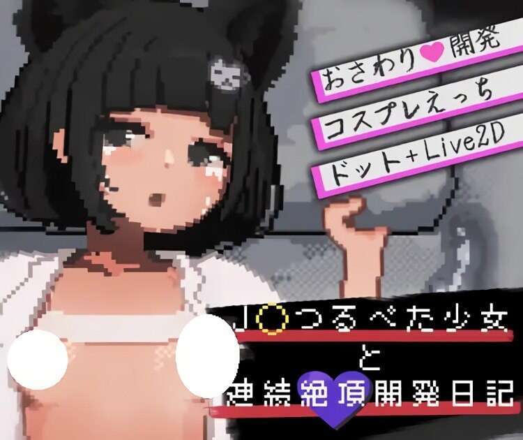 新作[互动SLG/调教/触摸抚摸] 与JK飞机场少女的连续绝顶调教日记 正式版