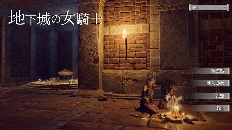 [爆款ACT/全动态/PC] 地下城的女骑士地下城の女騎士STEAM官中步兵 [2.1G/百度/夸克]