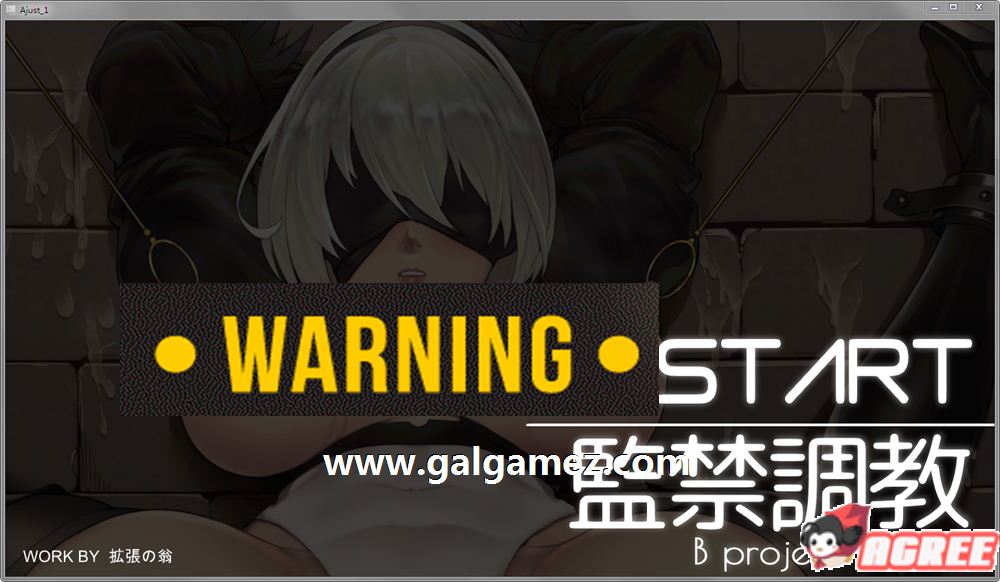 [互动SLG/无文本/全动态]间禁教育2B小姐姐 DL正式版+全CG版+动画[FM/百度/OD][600M]