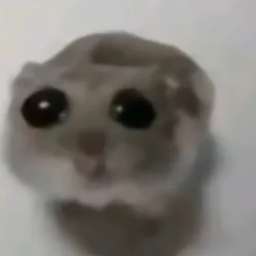 suiyueruge