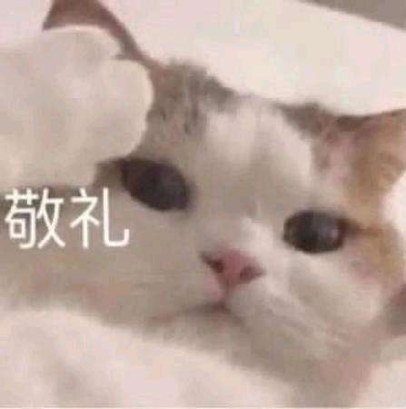 后宫酒店谁有可以可以发一下吗