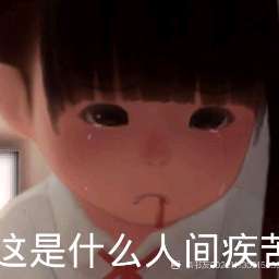 蜘蛛子10086