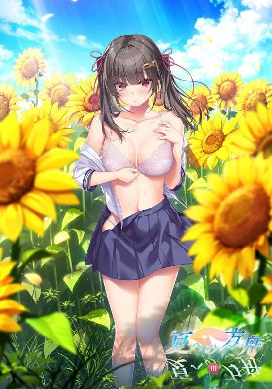 日式ADV/动态/PC夏之方舟3 夏への方舟3 AI汉化+特典2.1G/百度/UC