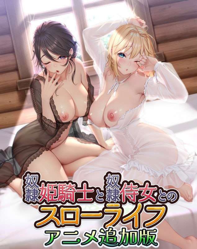 ADV/PC/AI汉化奴隶姬骑士和奴隶侍女的悠闲生活 动态完整版3G/百度