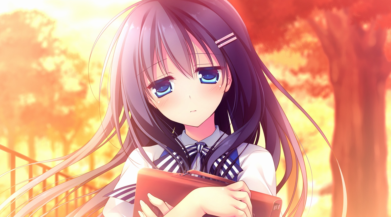 慕情之心今随君作伴[PC][汉化]