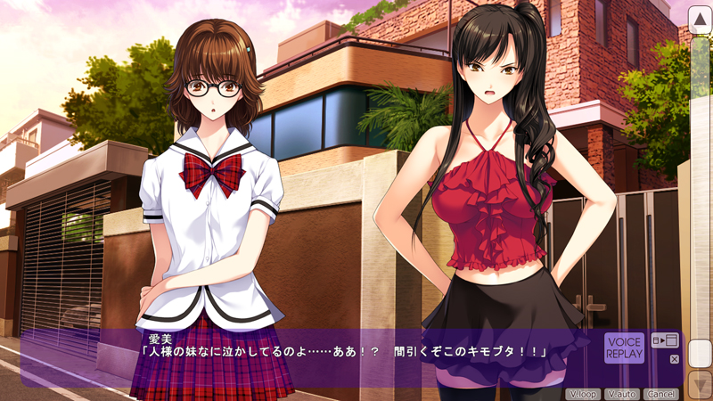 补档 爱姉妹IV-肥宅美梦 完整汉化硬盘版+全CG PC