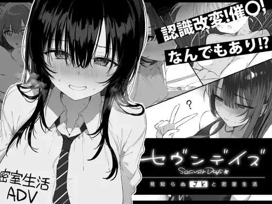 PC/MTool/黑白/ADV/纯爱七日密室 与陌生JK的密室同居生活
