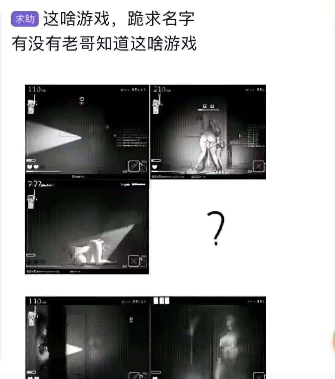 有没有大哥知道这是啥游戏啊