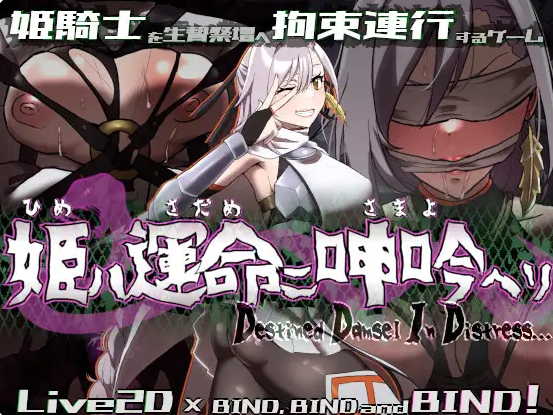 新作[动作ARPG/恶堕/动态/PC] 姬在命运中呻吟 生肉版 [640M]