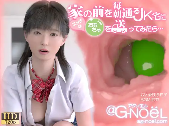 补3D同人/生肉/R18家の前を毎朝通るJK宅にエッチなおもちゃを送ってみたら・・・