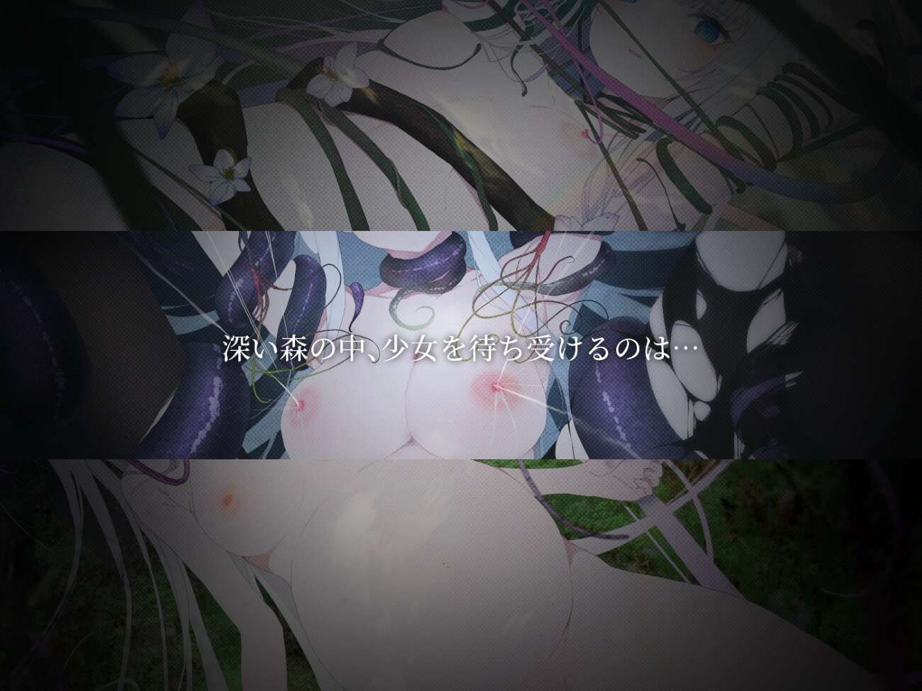 PC/ACT/轻度guro/中文TRAGEDY FOREST悲剧之森1.6.3.1240418mega/百度