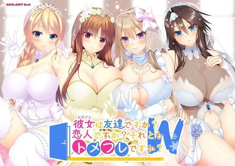 [PC/ADV/AI汉化]彼女ヒロインは友達ですか恋人ですかそれともトメフレですかW[3.39G/OD/度云]