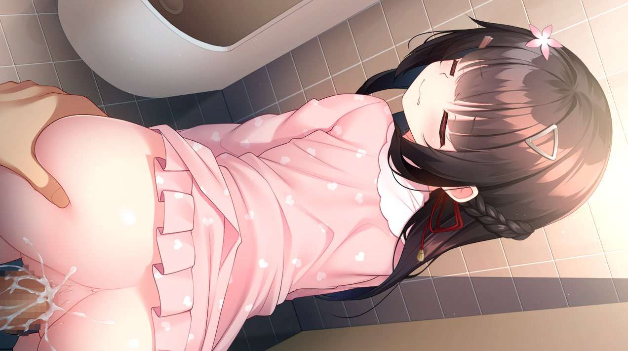 [ADV汉化PC全CG存档特典]有点傲娇的厕所花子 ちょっとナマイキなトイレの花子さん [FM/BD1.17G]