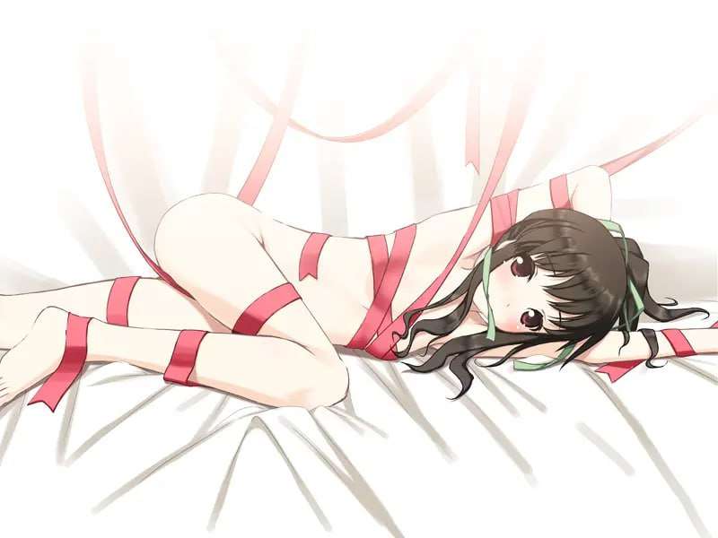 [拔作ADV/淫乱/PC] 请侵犯我プリーズ レプ ミー机翻汉化+全CG [1.8G/飞猫转百度]