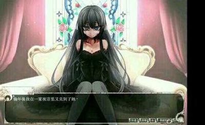 〖PC＋安卓手机版〗奴隶少女希尔薇各个版本，三四十G左右。注意:是各个版本，不是所有版本。因为版本比较多，所以比较乱，有很多版本都是重复的。