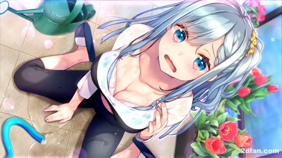 四新娘与我的选择PC＋krkr