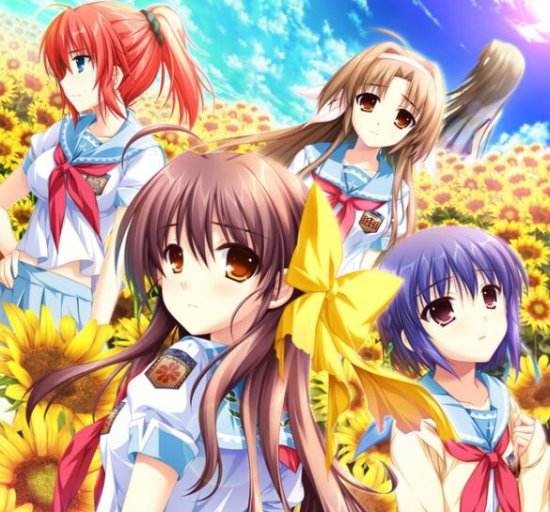 车轮之国，向日葵的少女