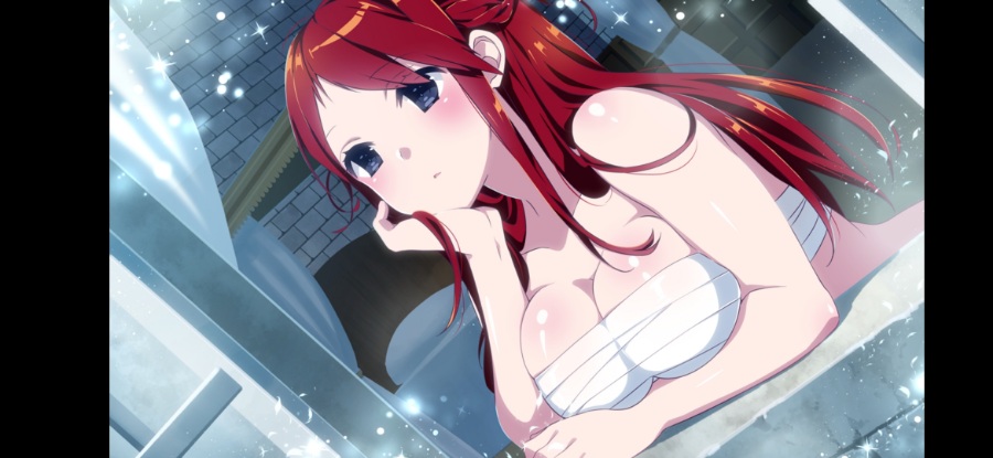 《樱花MMO》1~2[PC/安卓]百合