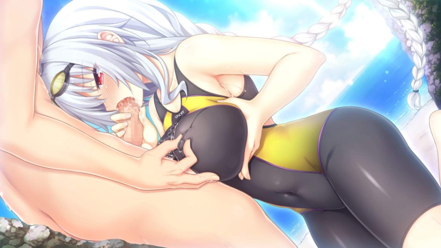 野良與皇女與流浪貓之心2漢化版 