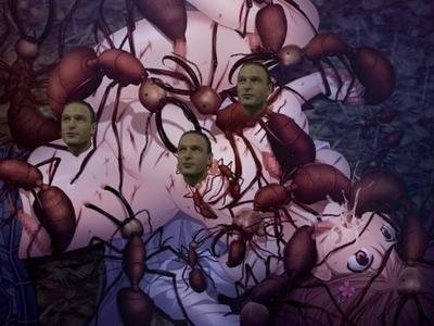 重口/虫/生肉/PC/镜像昆虫姦察 &amp; 海蚀轮回 &amp; 昆虫姦察 螽