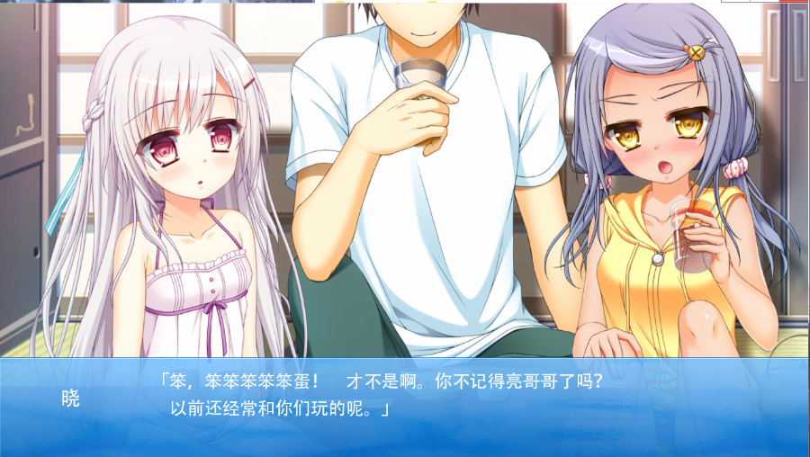 与妹妹的记忆「污秽不堪的记忆」【PC/汉化/ADV】