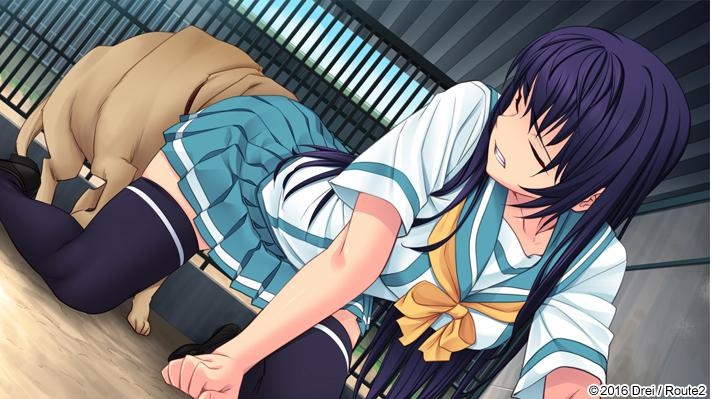 ヘチマに戀する女子校生 -JK×JK- パッケージ版