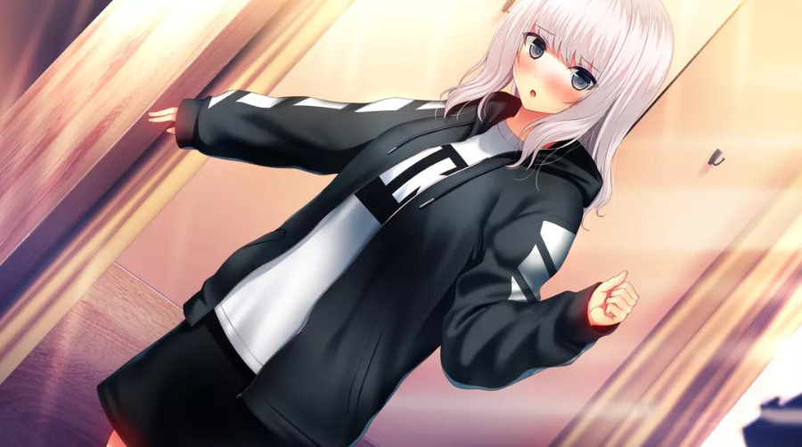 【日系ADV/汉化】 少女Minority -抚慰之爱+Fan Disc-凪咲 Another Day 汉化版【新汉化/全CV】