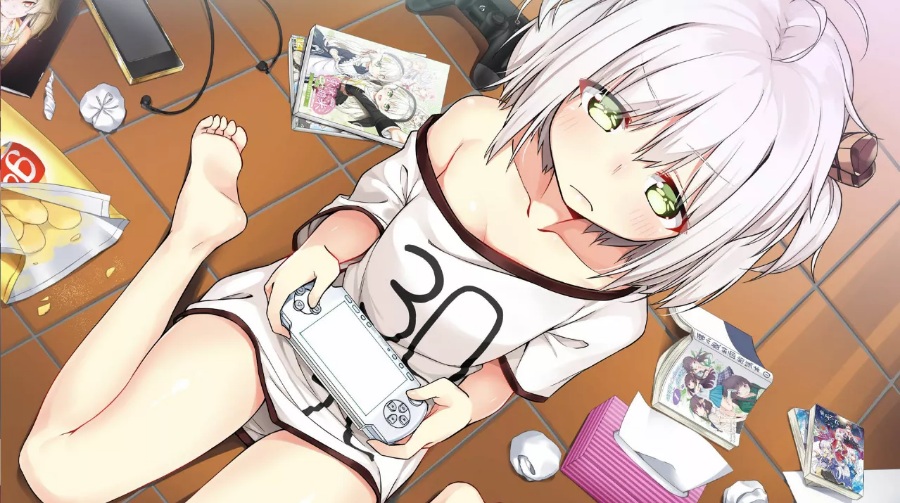 SLG/汉化食用系少女PC