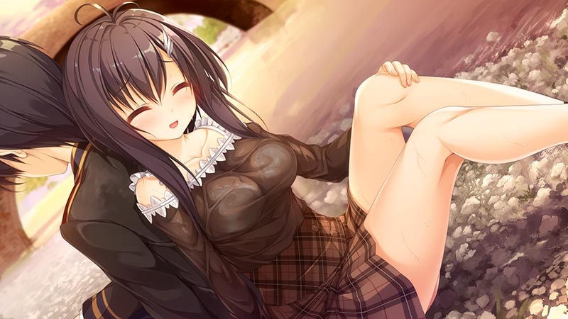 [生肉][ADV][PC]pieces/候鸟的Somnium