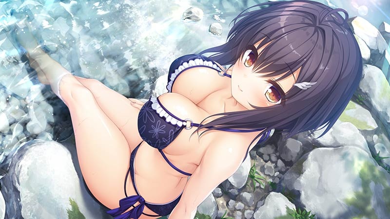 [生肉][ADV][PC]pieces/候鸟的Somnium