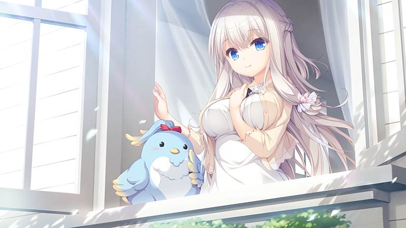 [生肉][ADV][PC]pieces/候鸟的Somnium