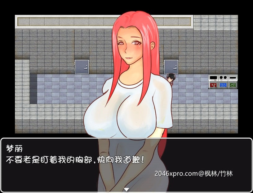 [国产] 【绿帽RPG/中文】[M大出品] 红O灯区列车？！官方中文版【全CV/PC+安卓】【800M