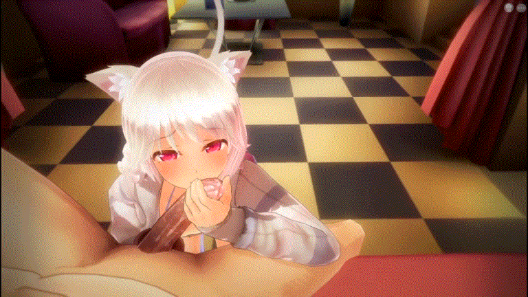 (白嫖)【2D动画】喵系列:可爱白猫～