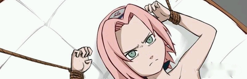 [安卓/精品/同人]火影同人：忍者后宫 V1.3