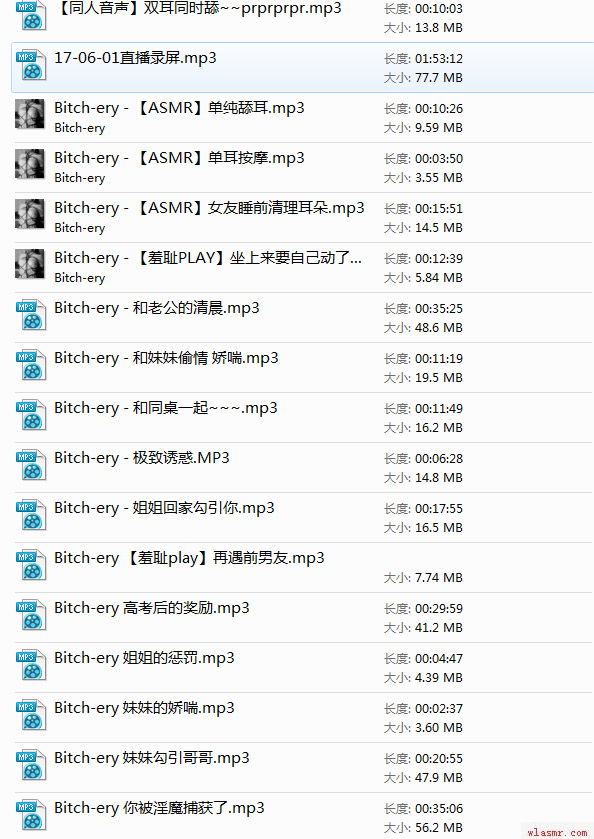 【中文音声】Bitery合集~40多倍的快乐