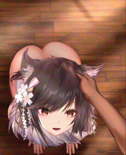(白嫖福利)[2.5D动画]2.5D动画合集2G+