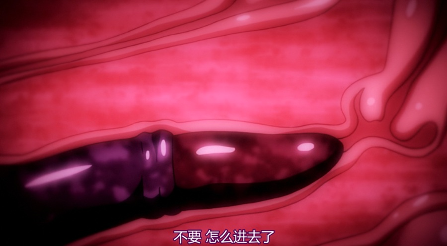 【里番/触手/汉化】学園侵触 ×× of the Dead【2V 1.5G】