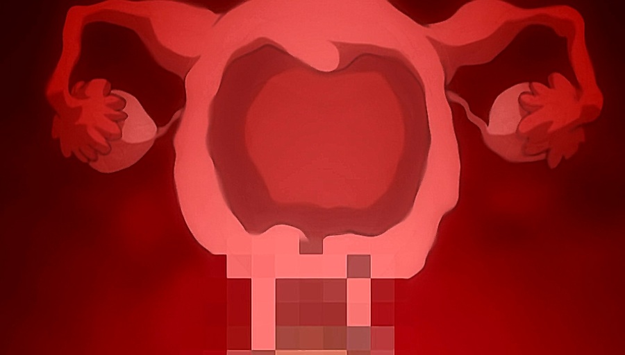 【里番/汉化/1080P】学園催眠隷奴  【3V 3.86G】