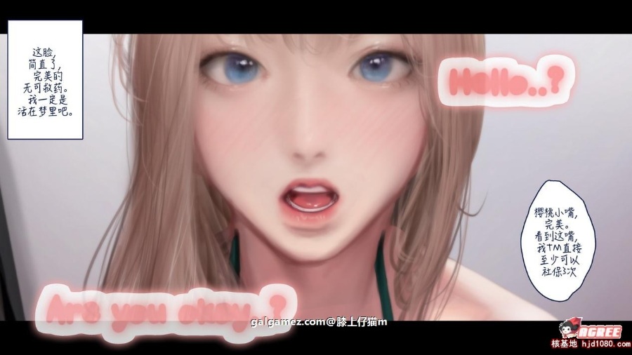 2D/汉化/全动态韩国大师KIDMO阿狸圆交COS动画+漫画汉化步兵版[新作/1.4G/度盘]