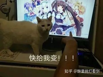galgame业界2020全年总结