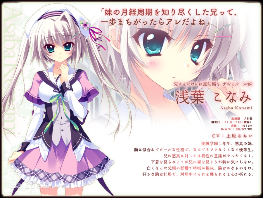 恋花绽放樱飞时【PC/KRKR/汉化】