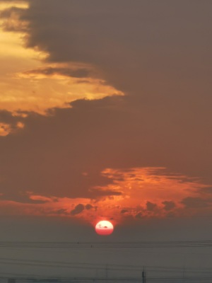 奇阁