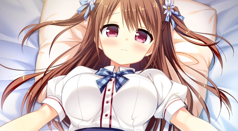 此花绽放季，与君重逢时[PC][galgame][汉化]