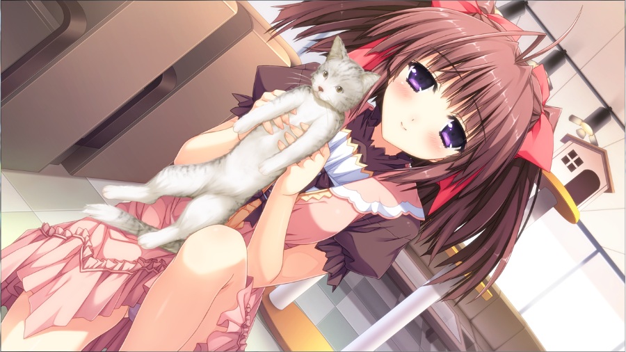 Berry's【PC/KRKR/汉化】