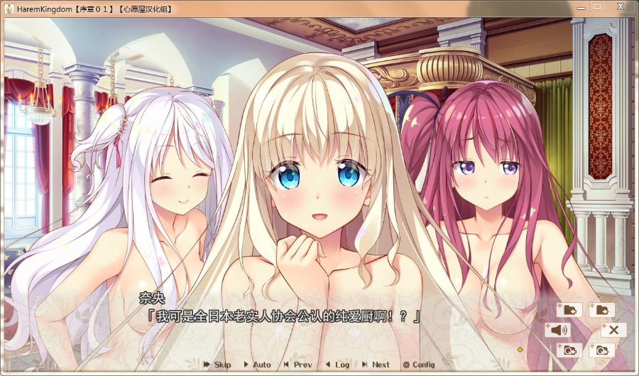 HaremKingdom~后宫王国 汉化硬盘版+全CG存档+透视补丁