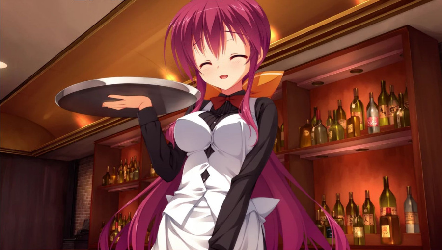 【KRKR/PC通用】【汉化】DRACU-RIOT！