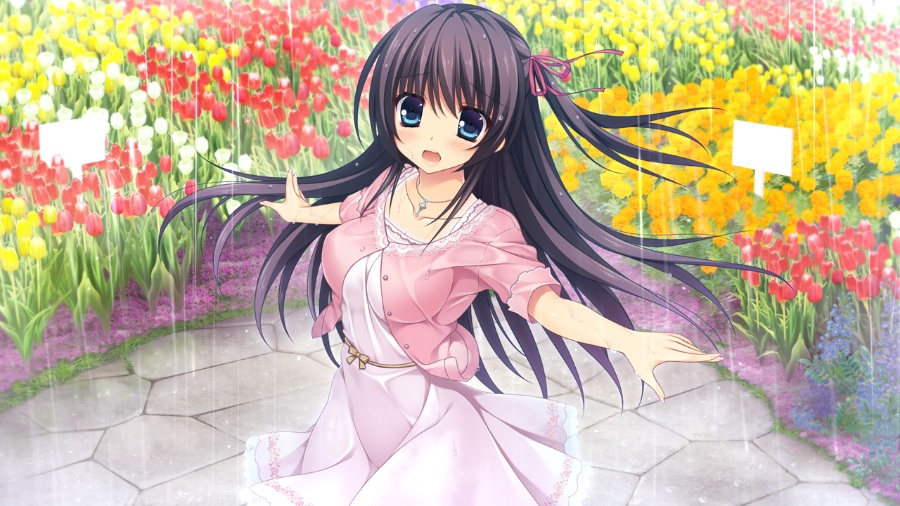 PURELY×CATION【KRKR/汉化】