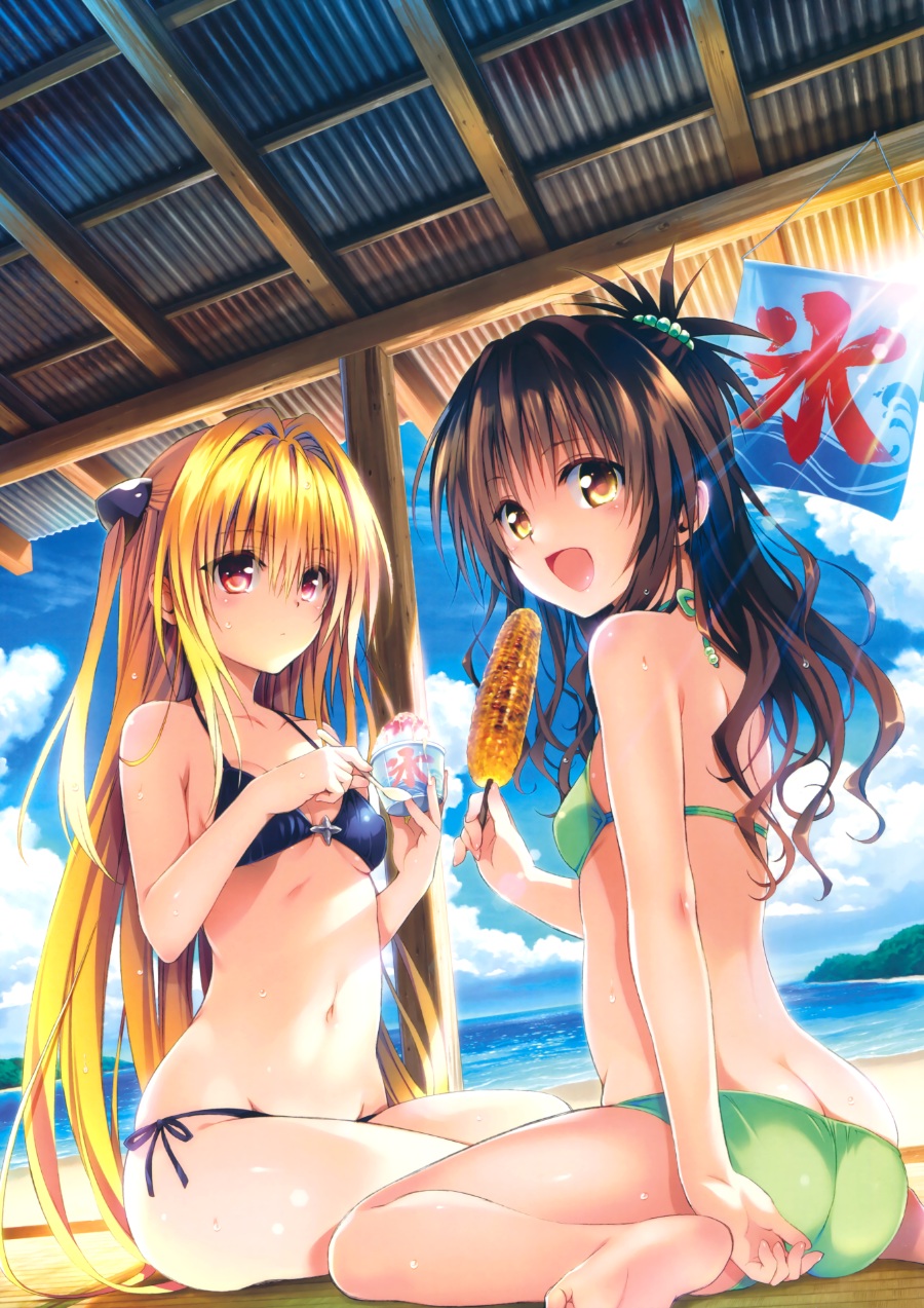 [画集/高清扫图]「To LOVE-Ru Darkness」10周年纪念画集「Harem Gold」[PNG/148P][R18][1.01GB]