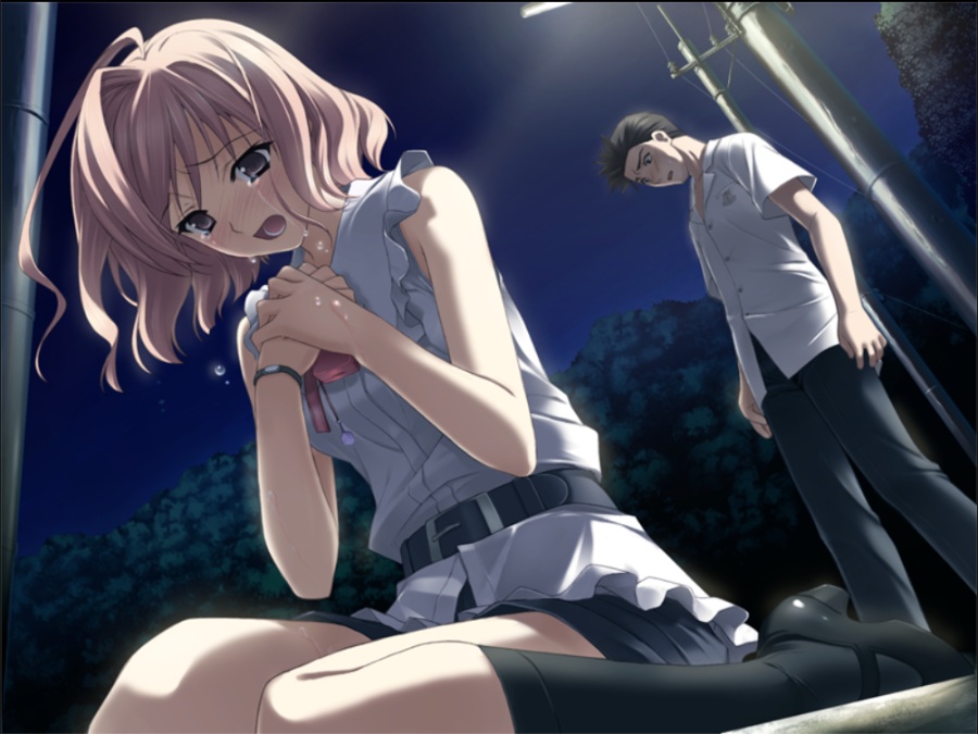 [PC/ADV/汉硬/实妹/名作] 缘之空 / ヨスガノソラ+全CG存档+攻略[RAR 4.11GB]