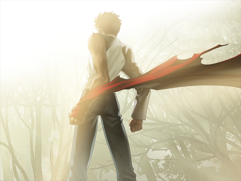 [PC/ADV/汉化硬盘版] Fate/stay night中文最终版+全收集存档+攻略[RAR 4.11GB]